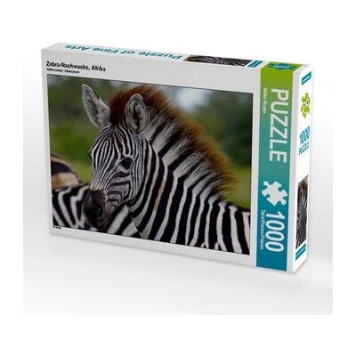 Calvendo - Zebra Offspring - 64 x 48 cm - 1000 pezzi - Puzzle Calvendo - Zebra Offspring - 64 x 48 cm - 1000 pezzi - Puzzle