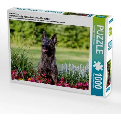 CALVENDO 4056502931393 - 1000 Teile - Puzzle CALVENDO 4056502931393 - 1000 Teile - Puzzle