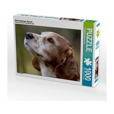 CALVENDO - Welsh Springer Spaniel 1000 - 64 x 48 cm - Puzzle CALVENDO - Welsh Springer Spaniel 1000 - 64 x 48 cm - Puzzle