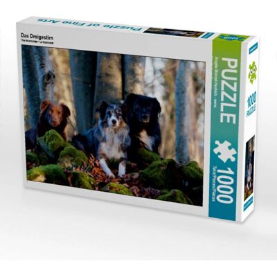Calvendo - 4056502983170 - 1000 piezas - 64 x 48 cm - Puzzle Calvendo - 4056502983170 - 1000 piezas - 64 x 48 cm - Puzzle