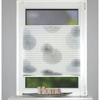 HOME WOHNIDEEN RAWLINS Plisseerollo - 70x210cm, grau, blickdicht & halbtransparent HOME WOHNIDEEN RAWLINS Plisseerollo - 70x210cm, grau, blickdicht & halbtransparent