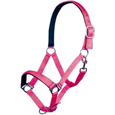HKM SPORT EQUIPMENT Stars Softice - Shetland - Fucsia Neon - Capezza HKM SPORT EQUIPMENT Stars Softice - Shetland - Fucsia Neon - Capezza