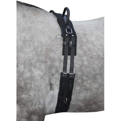 HKM Longiergurt mit Doppelgriff Canvas Schwarz - Longiergurt HKM Longiergurt mit Doppelgriff Canvas Schwarz - Longiergurt