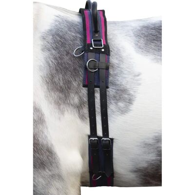 HKM Navy/Pink Canvas Longiergurt - Pferdetraining Gurt HKM Navy/Pink Canvas Longiergurt - Pferdetraining Gurt
