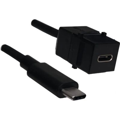 Bachmann Schwarzes USB 3.1 Typ C PD 60W Keystone Modul Bachmann Schwarzes USB 3.1 Typ C PD 60W Keystone Modul