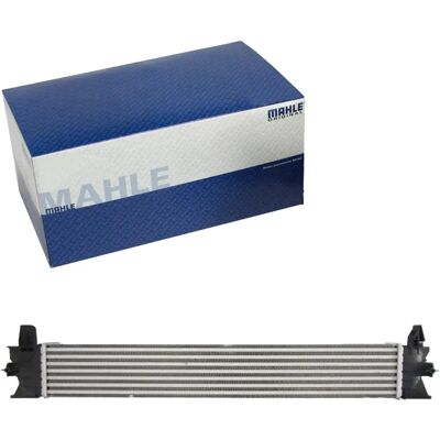Διακονιστής MAHLE CI 217 000P - Αέρας-Αέρα, Αέρας-Νερό, Fiat Ducato III Van Διακονιστής MAHLE CI 217 000P - Αέρας-Αέρα, Αέρας-Νερό, Fiat Ducato III Van