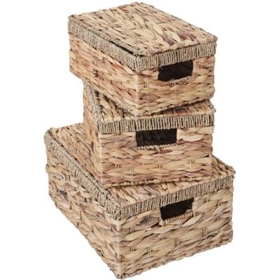 HHG - HHG-209 - giacinto d'acqua naturale - scatole portaoggetti HHG - HHG-209 - giacinto d'acqua naturale - scatole portaoggetti