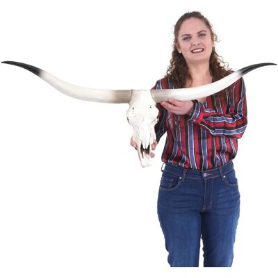 MENDLER Trophée mural crâne de bison - Décoration animal réaliste - 103cm - Publicité MENDLER Trophée mural crâne de bison - Décoration animal réaliste - 103cm - Publicité