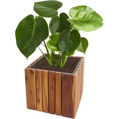 MENDLER Pot de Jardin en Acacia HWC-L24 - Jardinière - Publicité MENDLER Pot de Jardin en Acacia HWC-L24 - Jardinière - Publicité