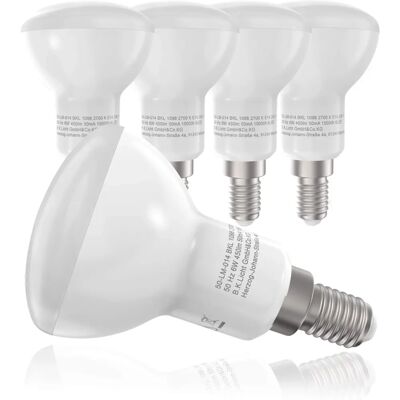 B.K.LICHT Ampoule LED Blanche 6W - Source de lumière B.K.LICHT Ampoule LED Blanche 6W - Source de lumière