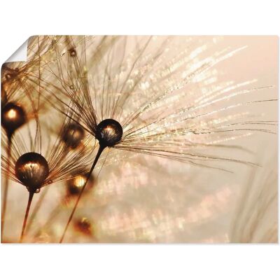 ARTLAND - Pusteblume Goldener Tropfen - Gold - Wandkunst ARTLAND - Pusteblume Goldener Tropfen - Gold - Wandkunst