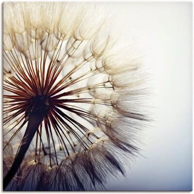ARTLAND Große Pusteblume Wandbild - Landschaft ARTLAND Große Pusteblume Wandbild - Landschaft