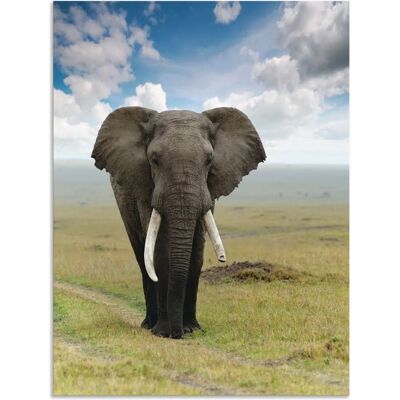 ARTLAND Elefant Wandbild - Hochwertiger Alu-Dibond-Druck - Innen & Außen ARTLAND Elefant Wandbild - Hochwertiger Alu-Dibond-Druck - Innen & Außen