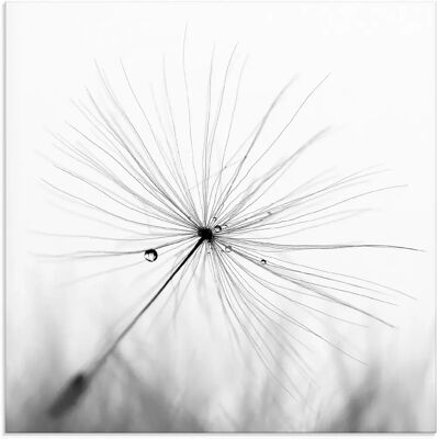 ARTLAND Pusteblume Schirmchen Glaswandbild ARTLAND Pusteblume Schirmchen Glaswandbild