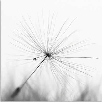 ARTLAND Pusteblume Schirmchen - Wetterfeste Alu-Wandbild ARTLAND Pusteblume Schirmchen - Wetterfeste Alu-Wandbild
