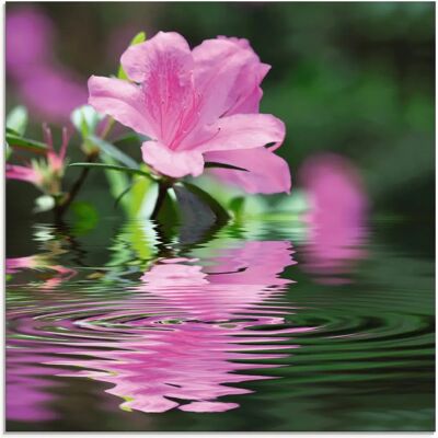 ARTLAND Azalee - Pink Glasbild - 30x30cm - Originalqualität ARTLAND Azalee - Pink Glasbild - 30x30cm - Originalqualität