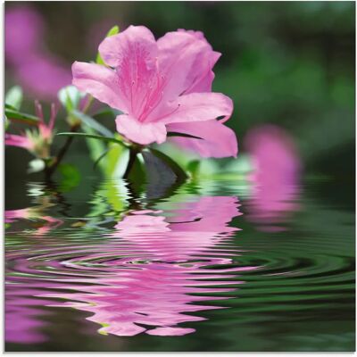 ARTLAND Azalee Glasbild - 50x50cm - Pink - Blumen Wanddekoration ARTLAND Azalee Glasbild - 50x50cm - Pink - Blumen Wanddekoration