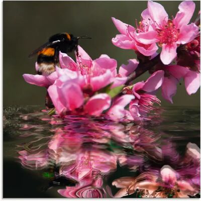 ARTLAND Pfirsichblüte mit Hummel Glasbild - Wanddekoration ARTLAND Pfirsichblüte mit Hummel Glasbild - Wanddekoration