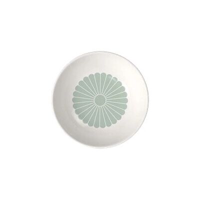 Villeroy & Boch 1045503810 Grüner Porzellan Essteller - Essschale Villeroy & Boch 1045503810 Grüner Porzellan Essteller - Essschale