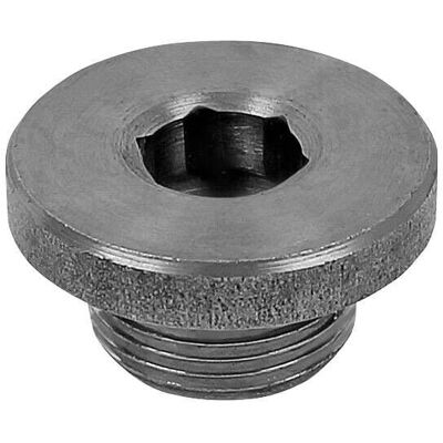 DT SPARE PARTS 7.50625 - Verschlussschraube Ölwanne DT SPARE PARTS 7.50625 - Verschlussschraube Ölwanne