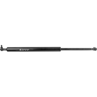 DT SPARE PARTS Gasfjäder - 3.80766 DT SPARE PARTS Gasfjäder - 3.80766