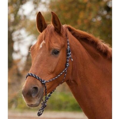 Testa Pone Waldhausen Nodi Night Blue/Silver - Testa Poni Testa Pone Waldhausen Nodi Night Blue/Silver - Testa Poni