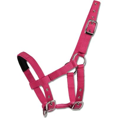 Waldhausen Mini Shetties Halter Rose - Halter pour Chevaux - Publicité Waldhausen Mini Shetties Halter Rose - Halter pour Chevaux - Publicité