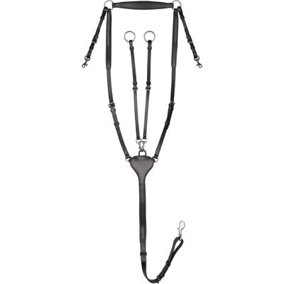 Waldhausen Vorderzeug X-Line Professional - Sicherheit & Komfort für Reiter & Pferd Waldhausen Vorderzeug X-Line Professional - Sicherheit & Komfort für Reiter & Pferd