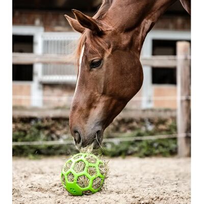Waldhausen Grüner Heuball - Pferde Spielzeug Waldhausen Grüner Heuball - Pferde Spielzeug