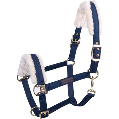 Halterie pour cheval Waldhausen - Bleu nuit/beige - Halterie pour cheval - Publicité Halterie pour cheval Waldhausen - Bleu nuit/beige - Halterie pour cheval - Publicité