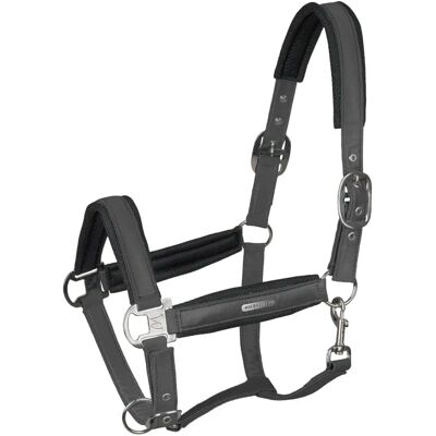 Waldhausen Nylonhalfter Breath PON Anthrazit - Nylon Halter Waldhausen Nylonhalfter Breath PON Anthrazit - Nylon Halter