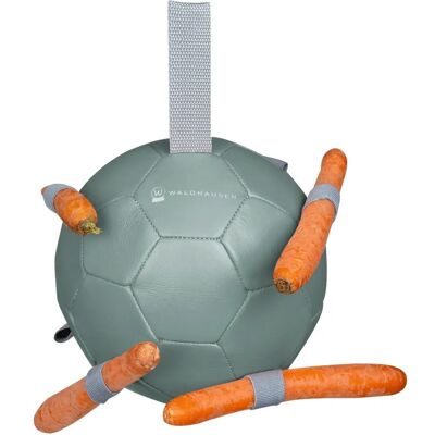 Balle Carotte Waldhausen - Jouet pour Cheval - 18cm - Publicité Balle Carotte Waldhausen - Jouet pour Cheval - 18cm - Publicité