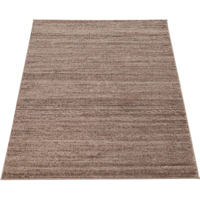 teppich.de - Echo - Beige - 70x250 cm - Rug - Publicité teppich.de - Echo - Beige - 70x250 cm - Rug - Publicité