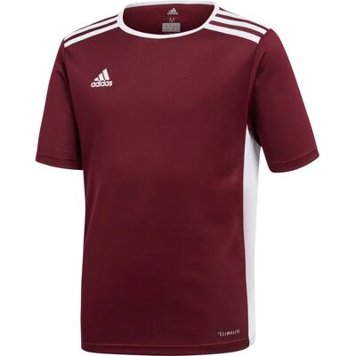 Koszulka Letnia Adidas JR Entrada 18 CE9564 dla Chłopców Koszulka Letnia Adidas JR Entrada 18 CE9564 dla Chłopców