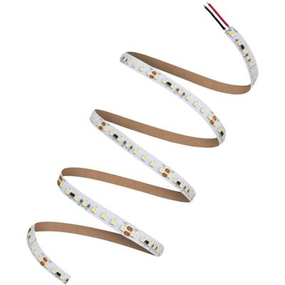 Rubans LED Ledvance 5m - 2000 Lm - Blanc Neutre, Intérieur Rubans LED Ledvance 5m - 2000 Lm - Blanc Neutre, Intérieur