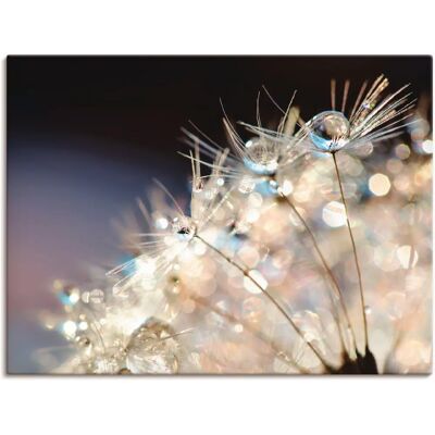 ARTLAND Pusteblume Fantasie Wandbild - Outdoor, Leinwand, Metall ARTLAND Pusteblume Fantasie Wandbild - Outdoor, Leinwand, Metall