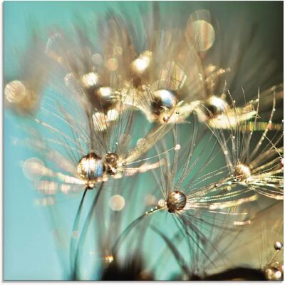 ARTland Pusteblume glänzendes Gold - blau - 20x20 cm - Glasbild ARTland Pusteblume glänzendes Gold - blau - 20x20 cm - Glasbild