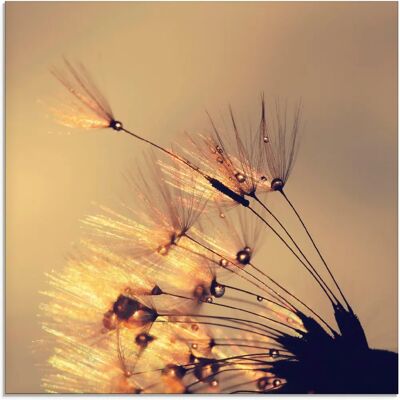 ARTLAND - Pusteblume Goldene Schirmchen ARTLAND - Pusteblume Goldene Schirmchen