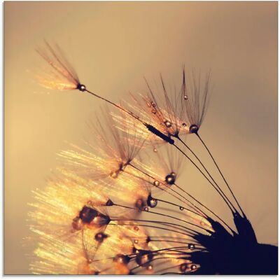ARTLAND Glasbild Pusteblume Goldene Schirmchen - Wanddekoration ARTLAND Glasbild Pusteblume Goldene Schirmchen - Wanddekoration