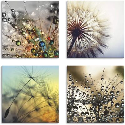 ARTLAND Leinwandbild - Pusteblume Nahaufnahme Löwenzahn - 40x40cm - Beige ARTLAND Leinwandbild - Pusteblume Nahaufnahme Löwenzahn - 40x40cm - Beige