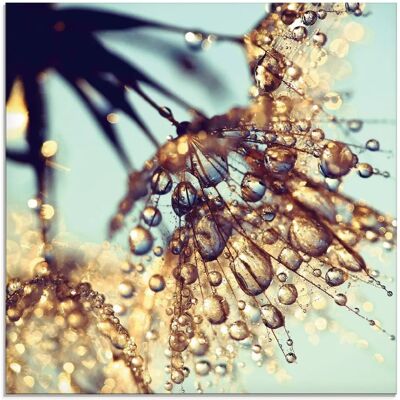 ARTLAND Pusteblume Goldener Regen Glaswandbild ARTLAND Pusteblume Goldener Regen Glaswandbild