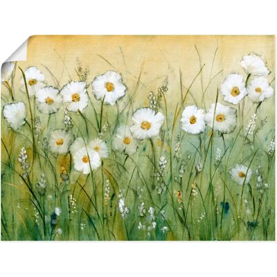 ARTLAND - Gänseblümchenfrühling II - Grün - 60x45 cm - Wandbild ARTLAND - Gänseblümchenfrühling II - Grün - 60x45 cm - Wandbild