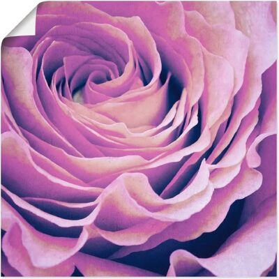 ARTLAND Lila Rose Wandbild - Künstlerin Angela Dölling - 100x100cm ARTLAND Lila Rose Wandbild - Künstlerin Angela Dölling - 100x100cm