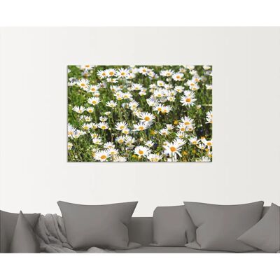 ARTLAND Gänseblümchen Weiß Alu-Wandbild - Querformat Druck ARTLAND Gänseblümchen Weiß Alu-Wandbild - Querformat Druck
