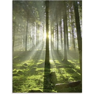 ARTLAND Wald im Gegenlicht Glasbild - Innen, 60x80cm ARTLAND Wald im Gegenlicht Glasbild - Innen, 60x80cm