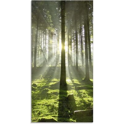 ARTLAND Wald im Gegenlicht Glasbild - Wald Motiv ARTLAND Wald im Gegenlicht Glasbild - Wald Motiv