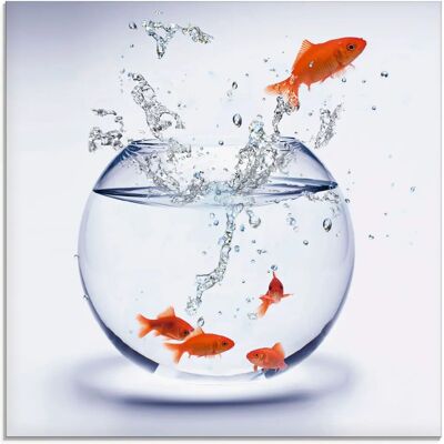 ARTLAND Goldfischaquarium Glasbild - 50x50cm, Weiß ARTLAND Goldfischaquarium Glasbild - 50x50cm, Weiß