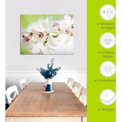 ARTland - Weiße Orchidee - 20x20 cm - Weiß - Glass picture ARTland - Weiße Orchidee - 20x20 cm - Weiß - Glass picture