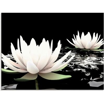 ARTLAND Zwei Lotusblumen auf Wasser Glasbild - Wanddekoration ARTLAND Zwei Lotusblumen auf Wasser Glasbild - Wanddekoration