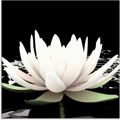 ARTland - Zwei Lotusblumen auf dem Wasser - Schwarz ARTland - Zwei Lotusblumen auf dem Wasser - Schwarz